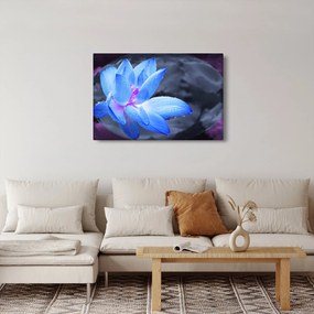 Obraz kvetu v detaile (90x60 cm)