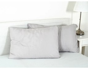 Obliečka na vankúš z mikrovlákna 45x75 cm Summer – B.E.S.