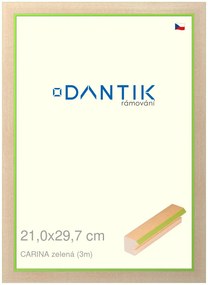 DANTIK rám na obraz 21x29,7 | CARINAzelená (Sklo Čiré)