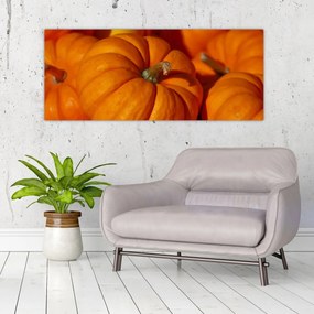 Obraz - Veľké tekvice (120x50 cm)
