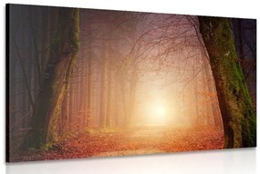 Obraz les v rozprávkových farbách - 90x60