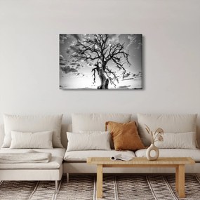 Obraz - Čiernobiely strom (90x60 cm)