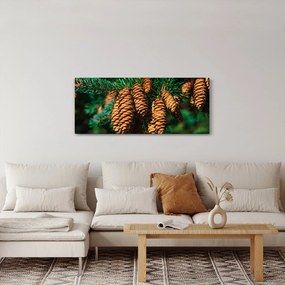 Obraz šišiek (120x50 cm)