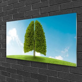 Skleneny obraz Tráva strom pľúca príroda 100x50 cm