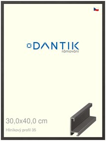 DANTIK rám na obraz 30x40 | ALU Dýha černá (Plexi Čiré)