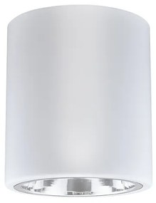 PLX Stropné osvetlenie LEXINGTON, 1xE27, 60W, 13cm, okrúhle, biele