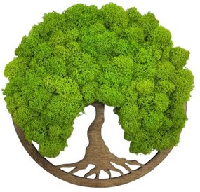 Strom na stenu z machu Cyrene 20 cm