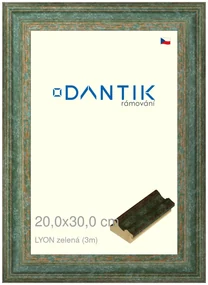 DANTIK rám na obraz 20x30 | LYON zelená (Sklo Čiré)