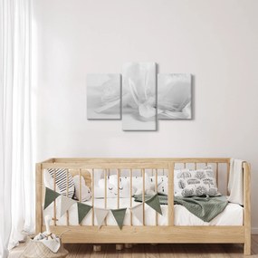 Obraz - Perie (90x60 cm)