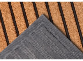 Rohožka z kokosového vlákna 45x75 cm Striped – Hanse Home