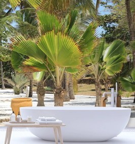 Gario Fototapeta Palmy na tropickej pláži Materiál: Vliesová, Rozmery: 100 x 100 cm