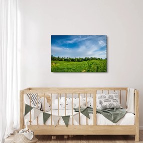 Obraz lúky (90x60 cm)
