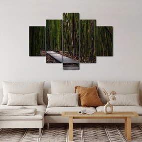 Obraz - Medzi bambusy (150x105 cm)