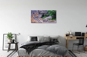 Obraz na plátne Tiger v zoo 125x50 cm