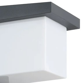 Eglo 95097 - Vonkajšie nástenné svietidlo DESELLA 1 LED/10W/230V