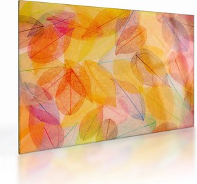 Sklenený obraz - Pozadie z jesenného lístia (70x50 cm)