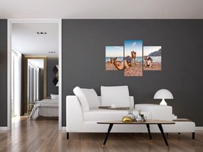 Obraz tiav (90x60 cm)
