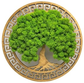 Strom na stenu z machu Hermiona 30 cm