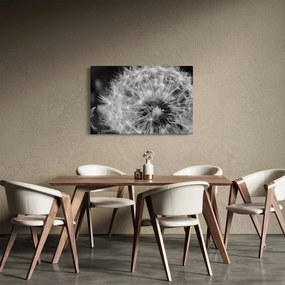 Obraz - páperie púpav (90x60 cm)