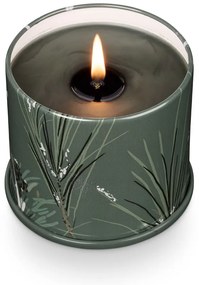Vonná sójová sviečka doba horenia 50 h Balsam &amp; Cedar – ILLUME x Bloomingville