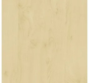 Samolepiaca fólia d-c-fix motív breza 90 cm (metráž)
