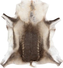 Koberec RENIFER POK008 hnedý / béžový