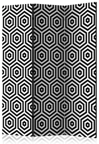 Artgeist Paraván - Black and White Hypnosis [Room Dividers]
