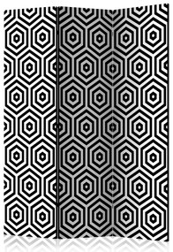 Artgeist Paraván - Black and White Hypnosis [Room Dividers]