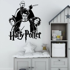 Veselá Stena Samolepka na stenu na stenu Harry Potter, Ron, Hermiona a Voldemort Farba: černá