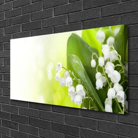 Obraz Canvas Konvalinky listy kvety lúka 125x50 cm