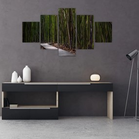 Obraz - Medzi bambusy (125x70 cm), 40 ďalších rozmerov