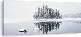 Obraz- Bolo bielo (120x50 cm)