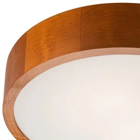 Stropné svietidlo 2xE27/60W/230V