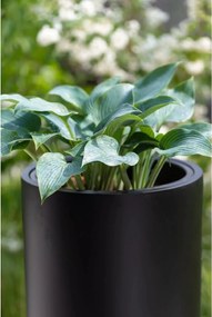 Kvetináč SOLERIO, sklolaminát, výška 100 cm, čierna