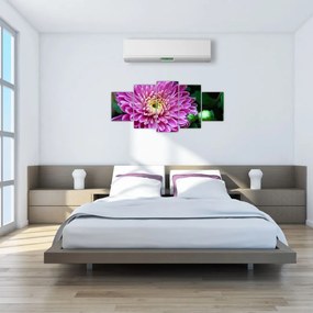 Obraz kvetu na stenu