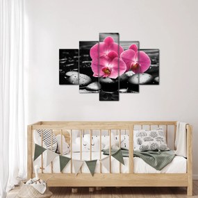 Obraz - Ružové orchidey (150x105 cm)