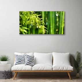Obraz Canvas Bambus listy rastlina 125x50 cm