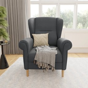 Tmavosivé kreslo ušiak Swan – Ropez