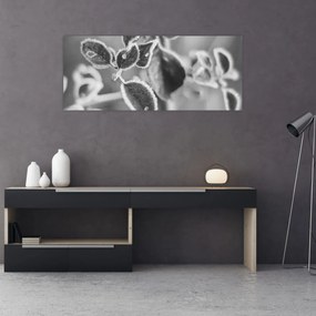 Obraz - Príroda na jeseň (120x50 cm)