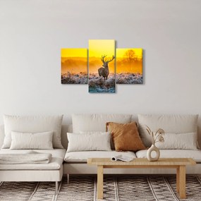 Obraz - Jeleň pri východe slnka (90x60 cm)