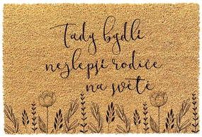Bohemia Gifts Rohožka - Nejlepší rodiče, 40 x 60 cm