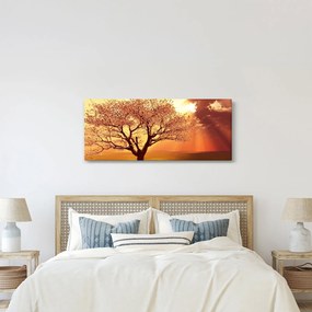 Obraz lúčov Boha (120x50 cm)
