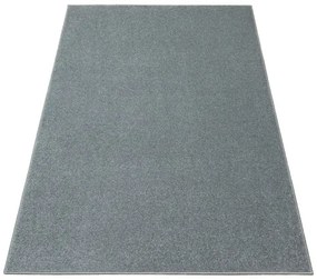 Koberec BRIGHTON 275 sivý