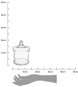 Sklenená dóza na sušienky 1000 ml číra