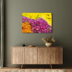 Obraz ružového kvetu (90x60 cm)