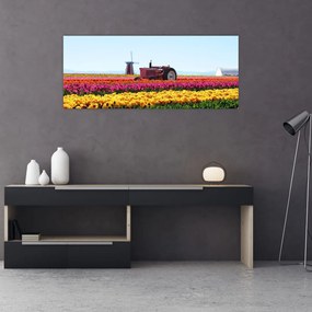 Obraz tulipánové farmy (120x50 cm)
