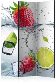 Artgeist Paraván - Fruit cocktail [Room Dividers]