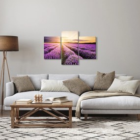 Obraz - Východ slnka v levanduľovom poli (90x60 cm)