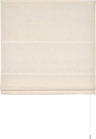 XXXLutz RÍMSKA ROLETA, polopriehľadné, 90/160 cm Homeware - Záclony & závesy - 005914022403