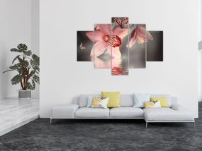 Obraz - Kvety a motýľ (150x105 cm)